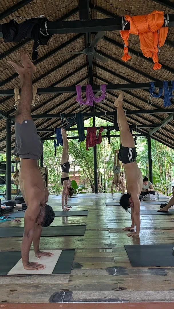 Thailand Handstand Intensive photo
